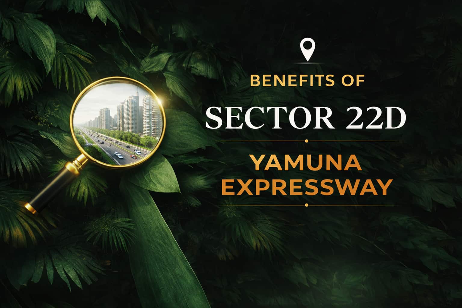 Noida or Greater Noida